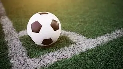 k1体育 产品 124024 ytw