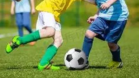 k1体育 资讯 123826 kn2