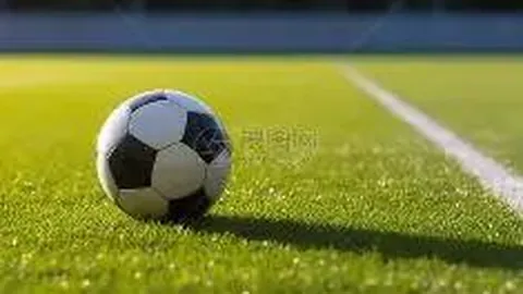 “安徽全运会佳绩连连，精神文明建设成果丰硕”