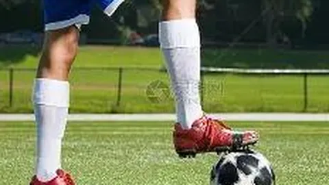 k1体育 产品 095334 p9m